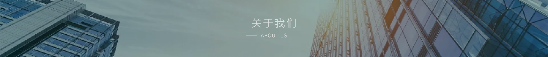 共物软件